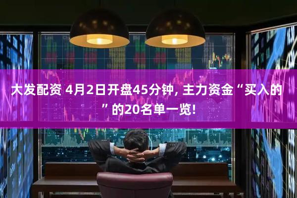 大发配资 4月2日开盘45分钟, 主力资金“买入的 ”的20名单一览!