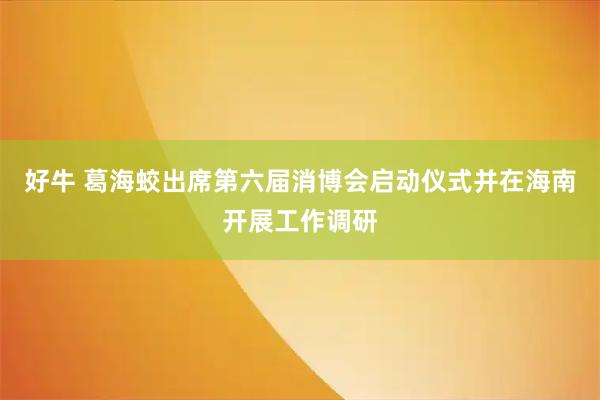 好牛 葛海蛟出席第六届消博会启动仪式并在海南开展工作调研
