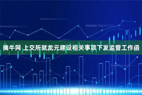 擒牛网 上交所就龙元建设相关事项下发监管工作函